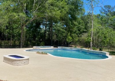 High Meadow Preserve - Magnolia