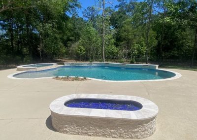 High Meadow Preserve - Magnolia