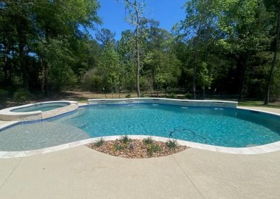 High Meadow Preserve - Magnolia